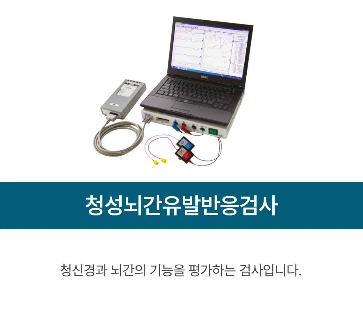 청성뇌간유발반응검사: 청신경과 뇌간의 기능을 평가하는 검사입니다.