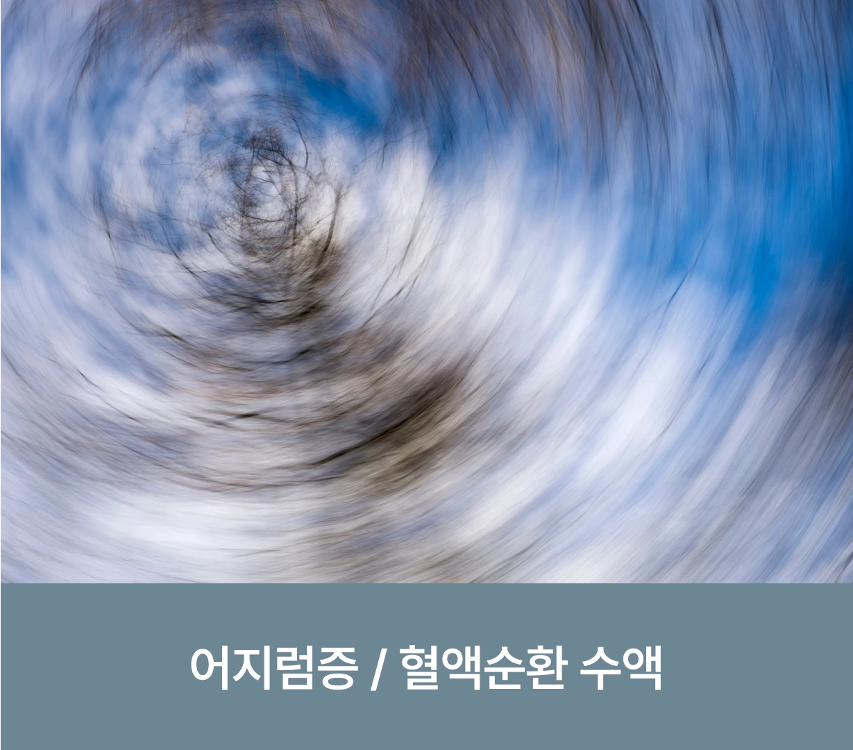 어지럼증/혈액순환 수액