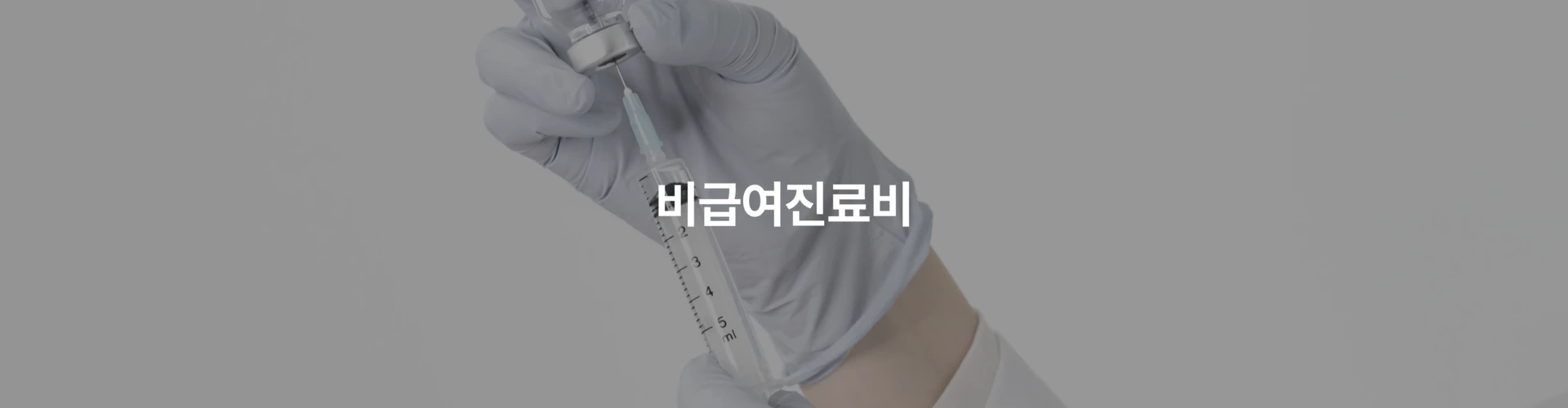 비급여진료비
